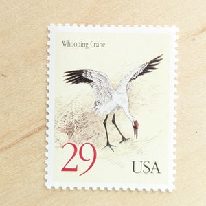 10 Whooping Crane Stamps, 29 Cent Unused US Stamps, 1994, Vintage Collectible Stamps