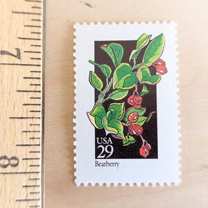 5 Bearberry Wildflower 29 Cent Stamps, 1992, Vintage Collectible Stamps