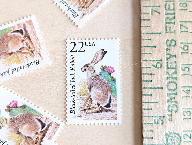 5 Black-tailed Jack Rabbit Stamps, Vintage Unused USPS 22 Cent Postage ...