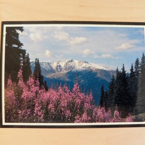 Carte postale non utilisée du pic Engelmann et du cratère, Denver, Colorado