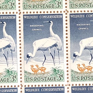 Sheet of 50 Wildlife Conservation Whooping Cranes Stamps, 3 Cent, 50 Unused Stamps, 1957