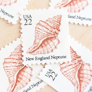 Puede incluir: Una colección de sellos postales vintage con una ilustración detallada de una concha en tonos marrones y blancos. Cada sello está marcado con "USA 22" y "New England Neptune".