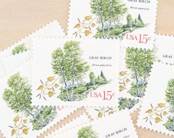 10 Betulle grigie Betula Populifolia, Francobolli USPS vintage non usati da 15 centesimi, Alberi americani, 1978 con gomma