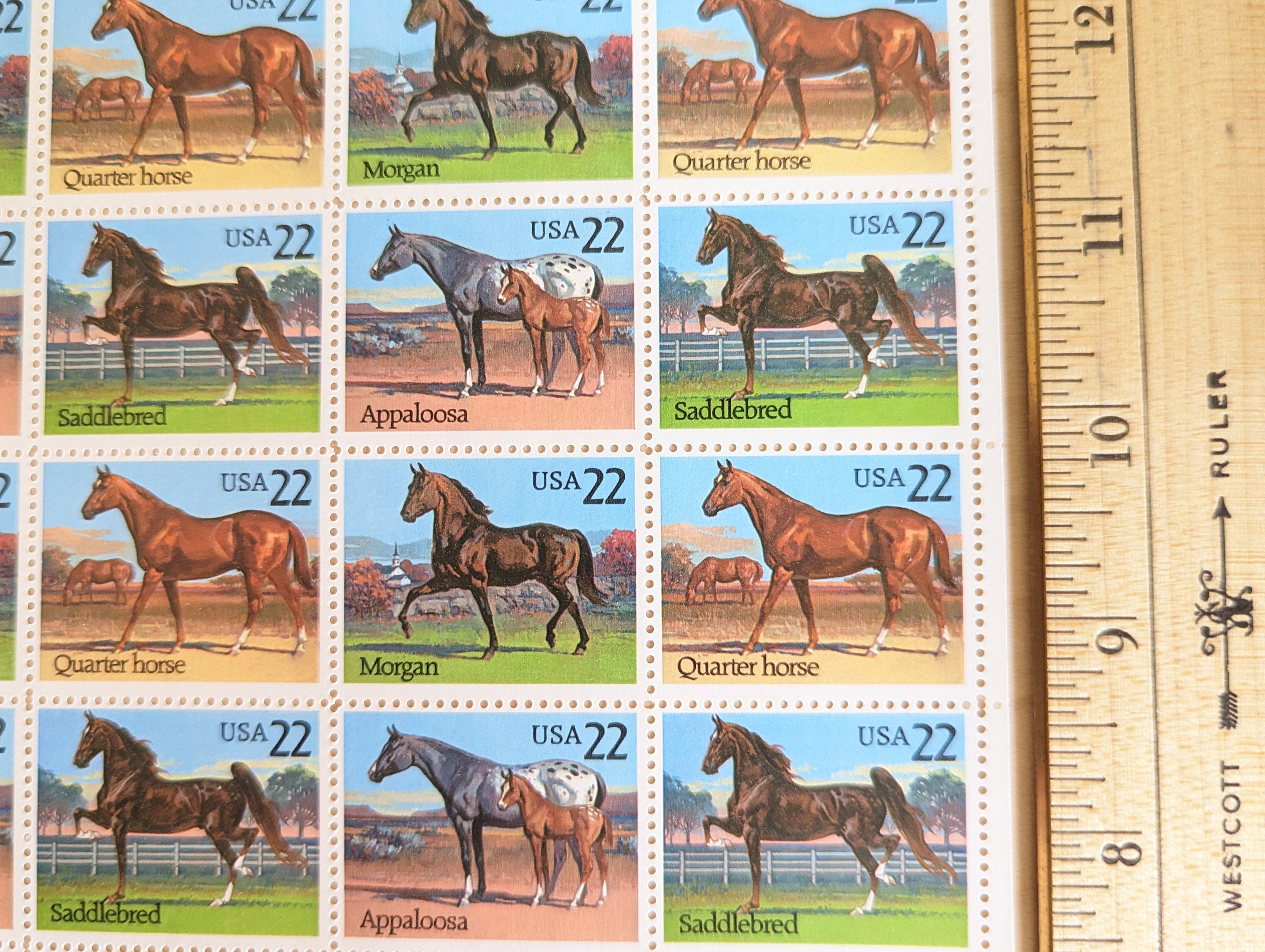 Sheet of 40 Horse Stamps, Appaloosa, Morgan, Quarter Horse