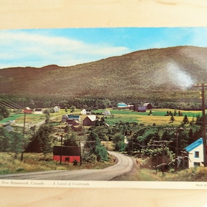 Cartão postal não utilizado de New Brunswick, Canadá, uma terra de contrastes