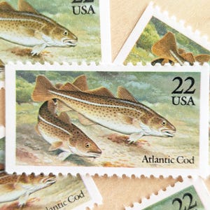 Op de afbeelding: Twee vintage postzegels met illustraties van Atlantische kabeljauw. De postzegels zijn groen, wit en bruin met de tekst "22 USA" en "Atlantic Cod".