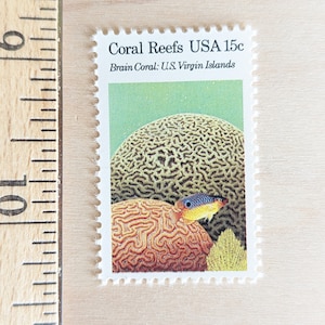 10 francobolli Barriere coralline, Corallo cerebrale: Isole Vergini americane, 1980 Francobolli inutilizzati, francobolli da 15 centesimi