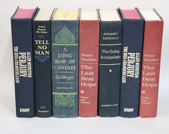 Hardcover Books for Decor or Resale Large 9.5" Big Heavy Fat Lot of 7 - Purjury - Last Best Hope - Along Row of Candles - Tell No Man