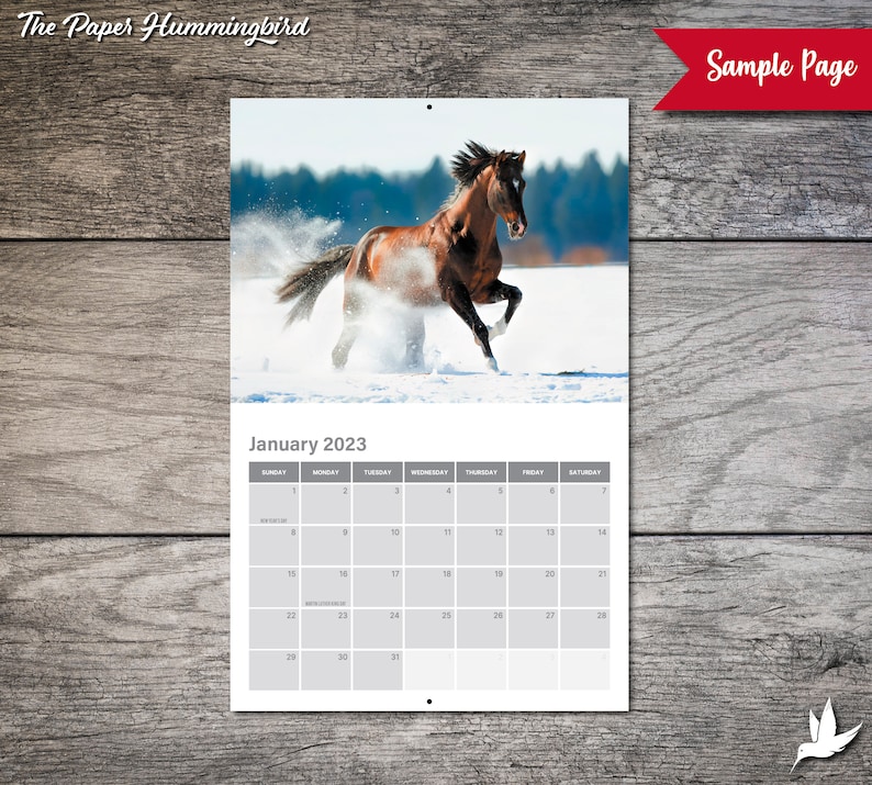 Custom Horse Calendar 2023 Horses Calendar Personalized Etsy