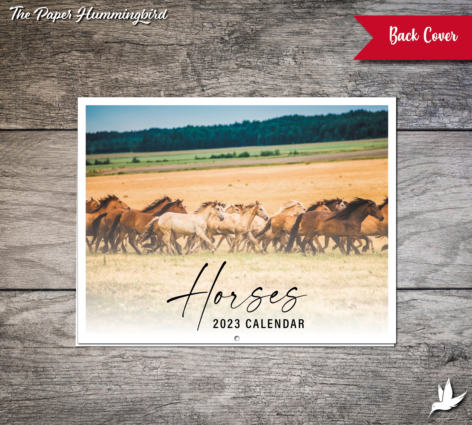 Custom Horse Calendar 2023 Horses Calendar Personalized Etsy