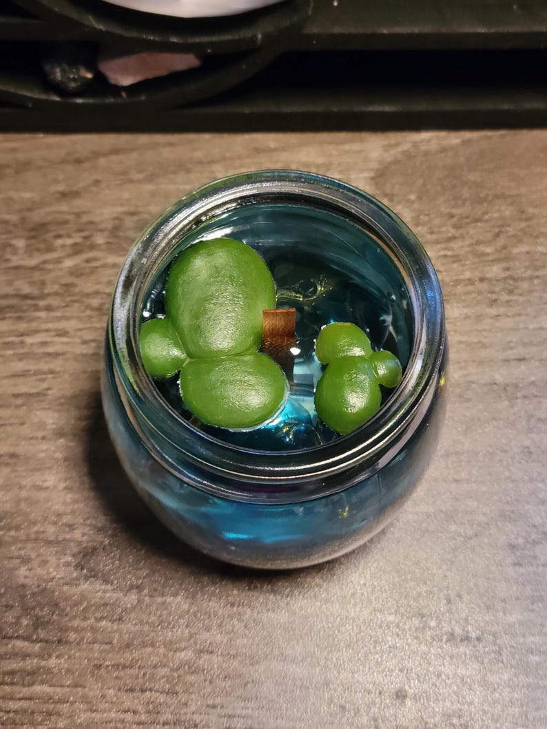 May include: A small green succulent plant in a clear glass jar filled with blue liquid. The jar has a silver lid.