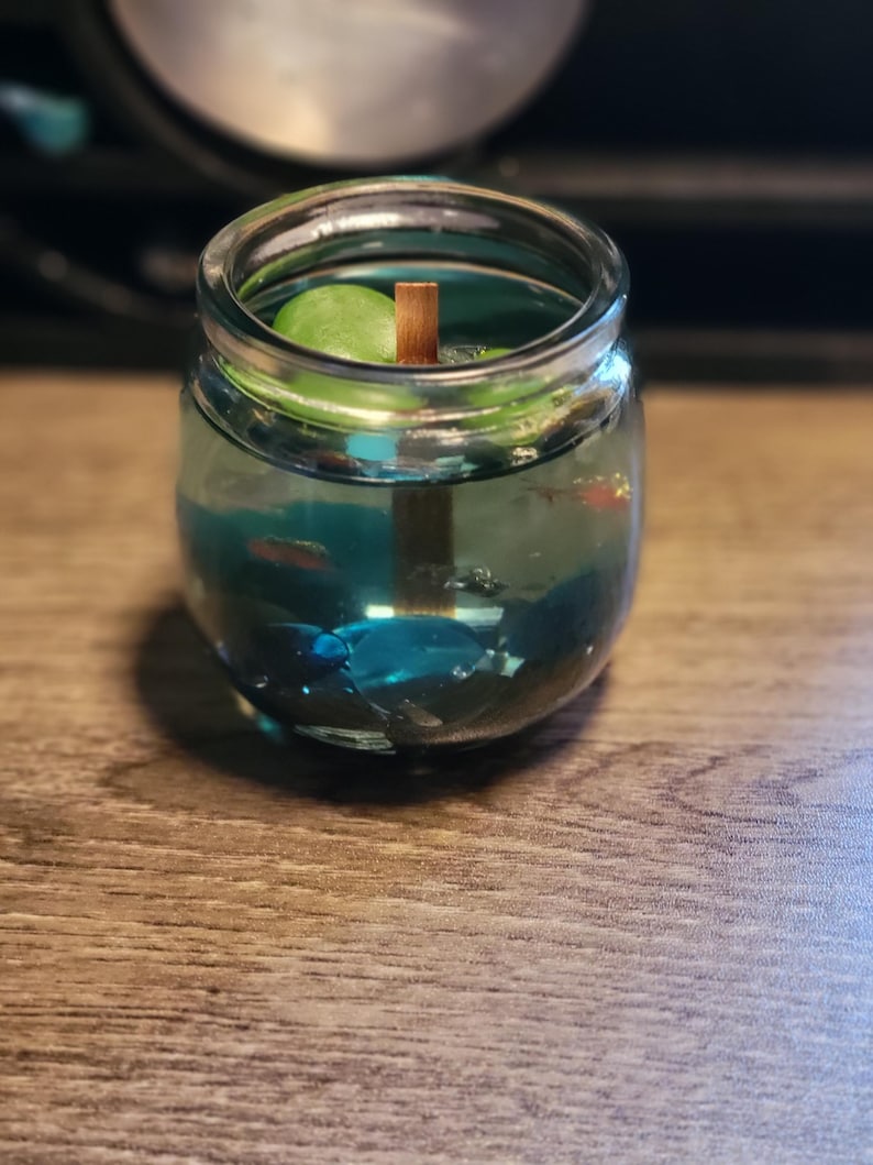 May include: A clear glass jar containing a green plant, surrounded by blue and green stones. The jar is filled with water and a wooden stick is placed vertically in the centre.