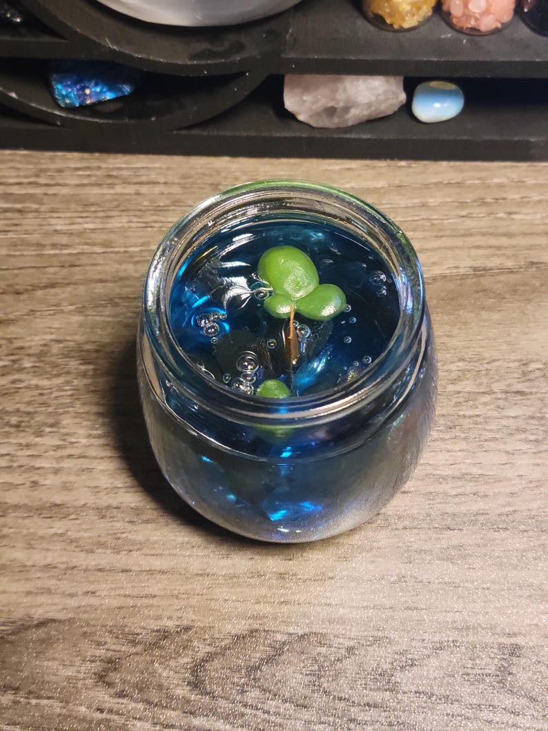 May include: A small green plant with three leaves is suspended in a clear glass jar filled with blue liquid. The jar is sitting on a wooden surface.
