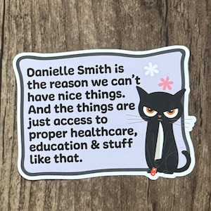 May include: A sticker featuring a black cat illustration and text on a light purple background. The text says: "Danielle Smith is the reason we can't have nice things. And the things are just access to proper healthcare, education & stuff like that."