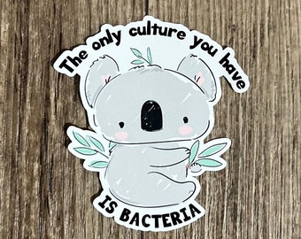 Koala Sticker, Culture Sticker, Koala Lover Gift, Cute Koala, Sarcastic, Sassy, Funny, Cute, Gift for Her, Gift for Him, Gift for Friend