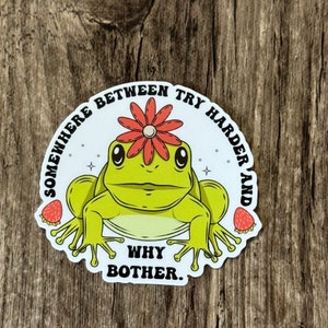 Frog  Sticker, Cottage Core Sticker, Core Frog Sticker, Why Bother Sticker, Funny Sticker, Mental Health, Try Harder, Cute Frog, Frog Lover