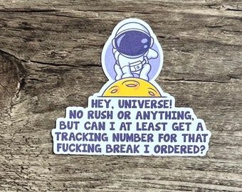 Catch A Break Sticker, Space Sticker, I Need A Break,  Gift for him, Gift for her, Mental Health, Mental Health Matters