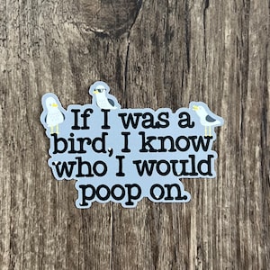 Sticker caca d'oiseau, si j'étais un oiseau, autocollant oiseau, autocollant de santé mentale, cadeau pour lui, cadeau pour elle, cadeau pour ami, cadeau collègue
