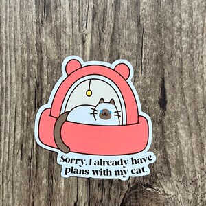 Autocollant de chat, autocollant de chat mignon, Die Cuts, Je ne peux pas aujourd’hui, Plans avec mon chat, Cadeau d’amoureux des chats, Amoureux des chats, Chat endormi, Antisocial