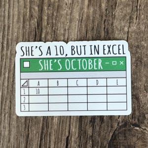 Shes a Ten Sticker, Spreadsheet Sticker, Die Cut Sticker, Laptop Sticker, Funny Sticker, Water Proof, Sarcastic Sticker, Gift for Her