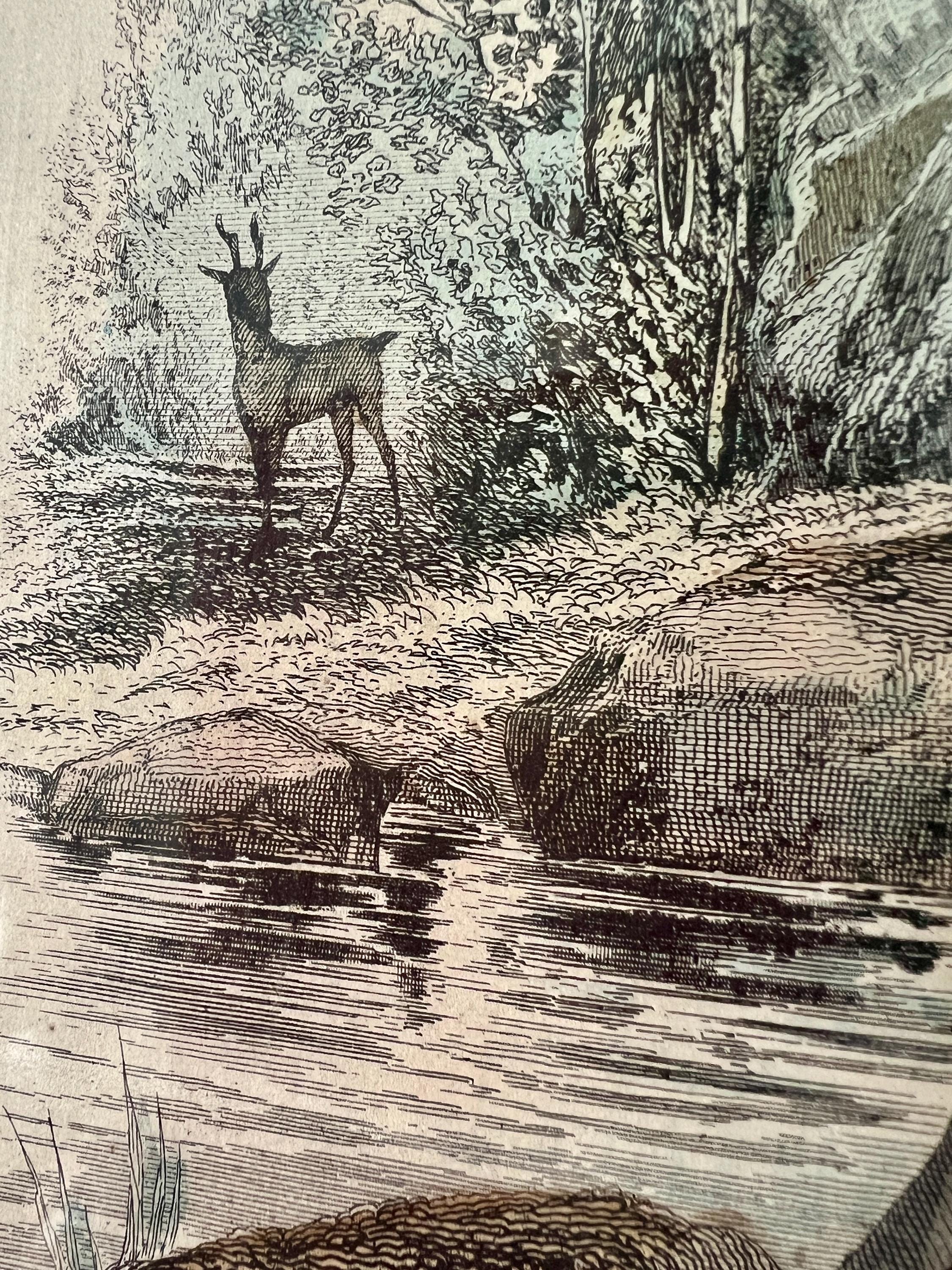 ヴィクトリア朝時代のファッション版画 – 1870年代のアンティーク額装 