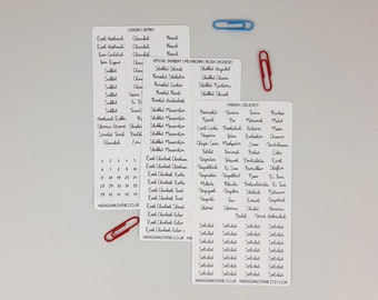 Jewish Calendar Parsha, Chagim, Yom Tov, Rosh Chodesh, Selichot and Special Shabbat Small Monochrome Planner Stickers