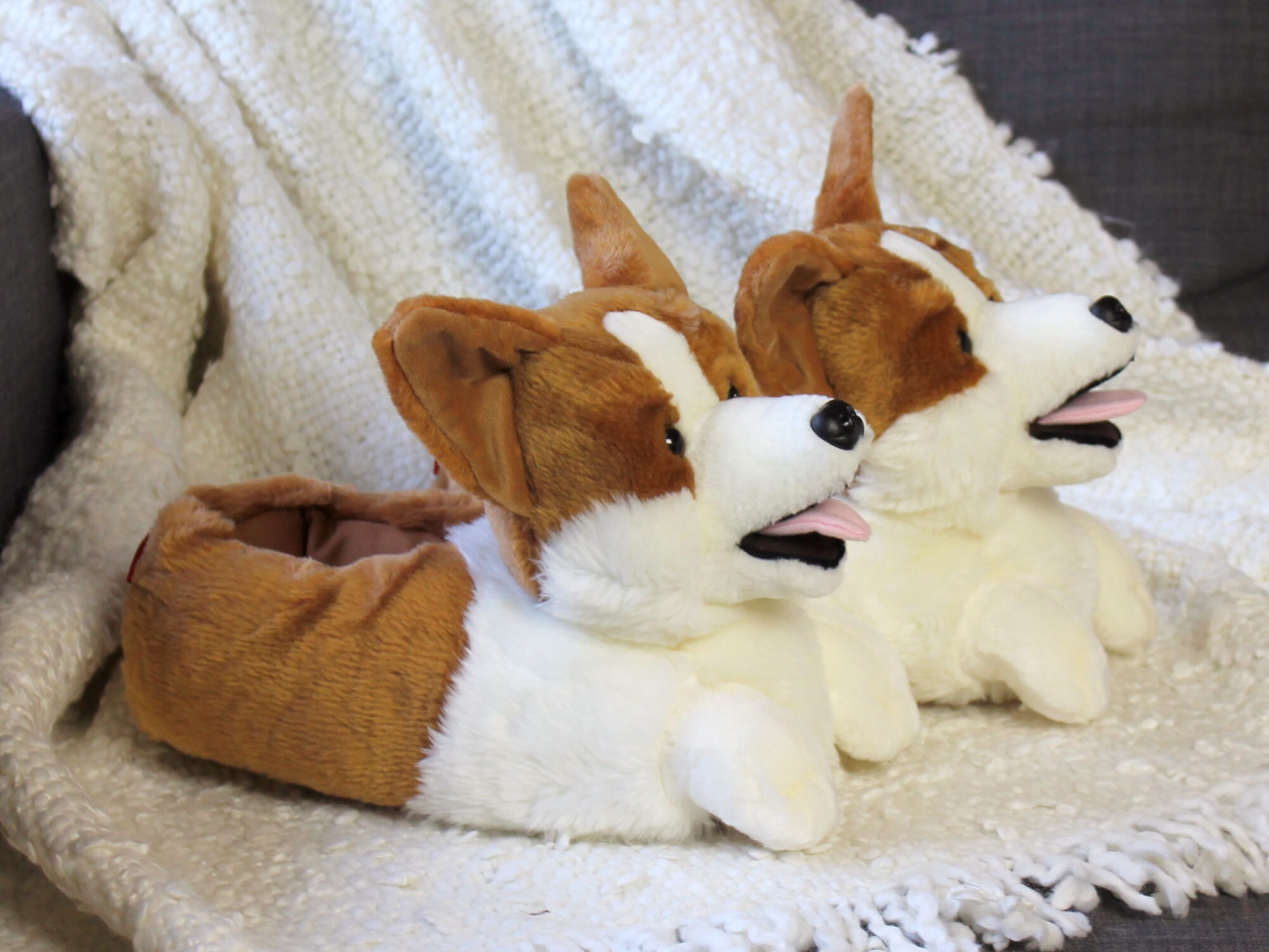Corgi house slippers sale
