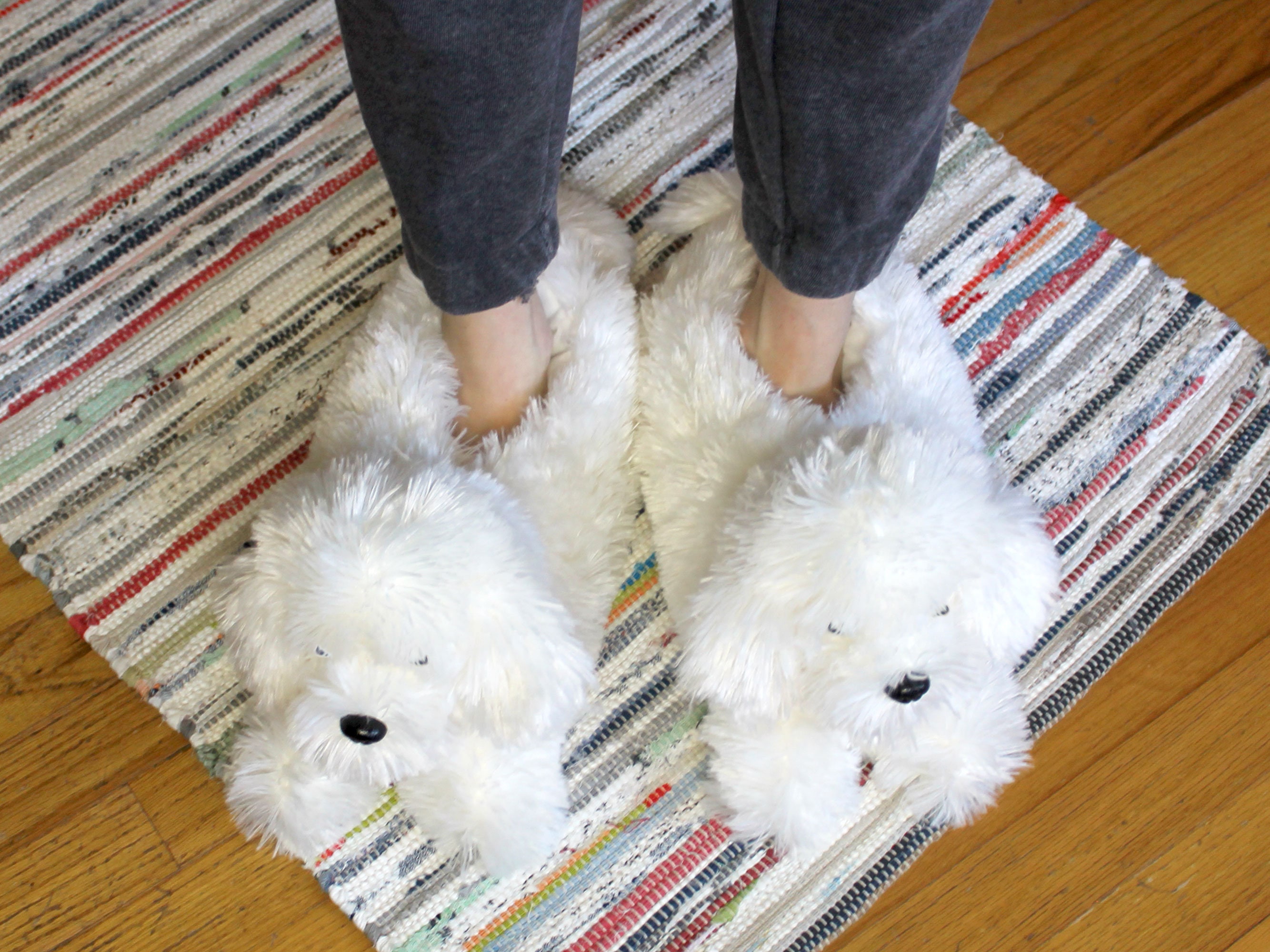 Bichon Slippers Bichon Slippers