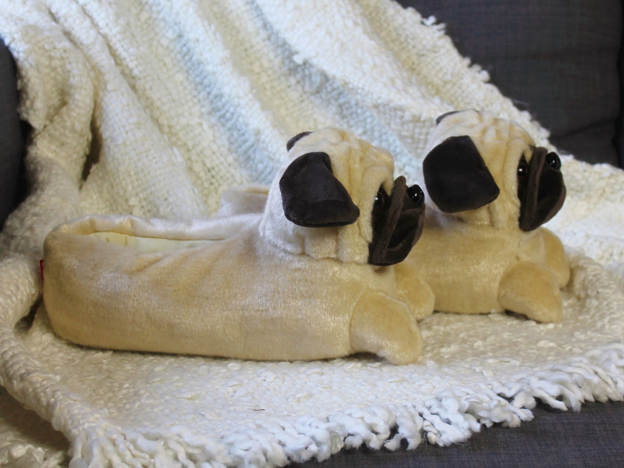 Pug house online shoes