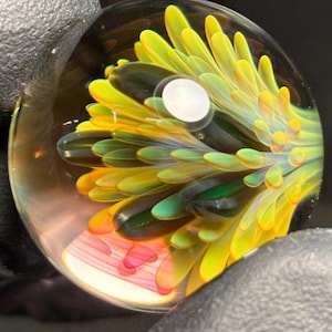 May include: A glass paperweight with a colorful, abstract design. The design features a cluster of yellow, green, and black swirls, resembling a flower.