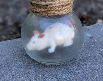 Mouse in a Jar | Faux | Prop