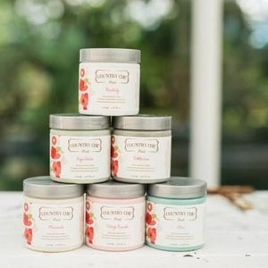 Country Chic Paint - All-in-one Paint 4 oz Sample Size -Buy 3 Get a FREE SPONGE