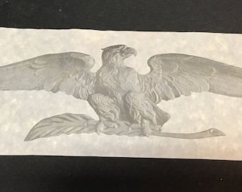 Eagle Spread Wings Perched on Branch Etched Unframed Print