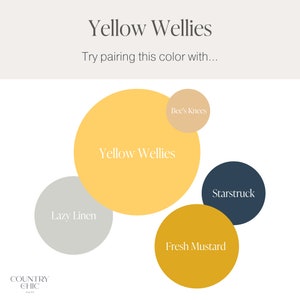 Country Chic All In One -  Yellow Wellies * FREE Paint Sponge*