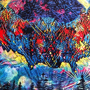 Electric Owl Fleece Art Blanket, Vibrant Owl Artwork, Soft Fleece Throw Blanket, Perfect for Beds & Sofas, Inspired by Electric Forest
