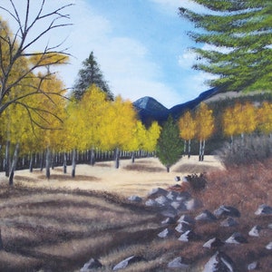 Estes Park Colorado&quot;  16 x 20 inch original oil painting