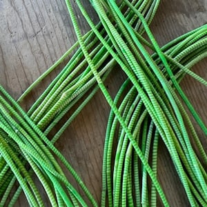 LIME GREEN  Recycled Flip Flop Rubber Strands for Necklaces - Bracelets - Beads - Boho Bracelets, Friendship Bracelets, Beach Bracelets