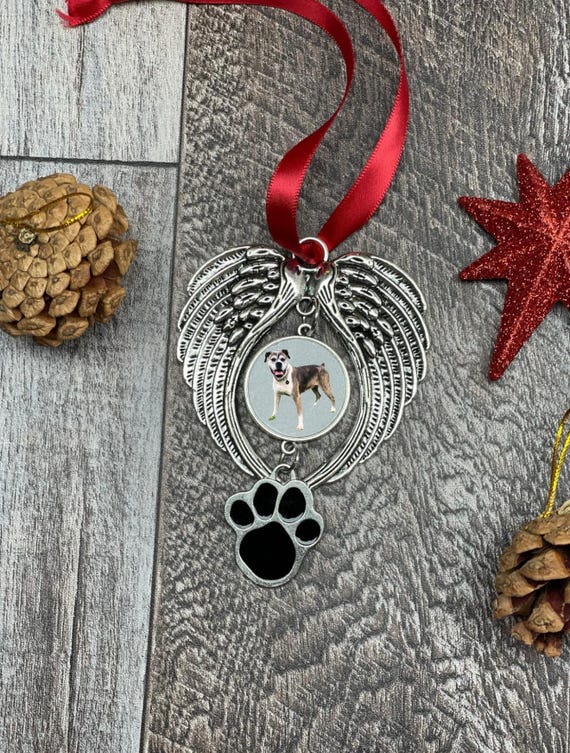 Angel Wings Pet Paw Photo Ornament, Memorial Photo Ornament, Pet Memorial Ornament, Back engraving available! FREE SHIPPING! Multiple colors