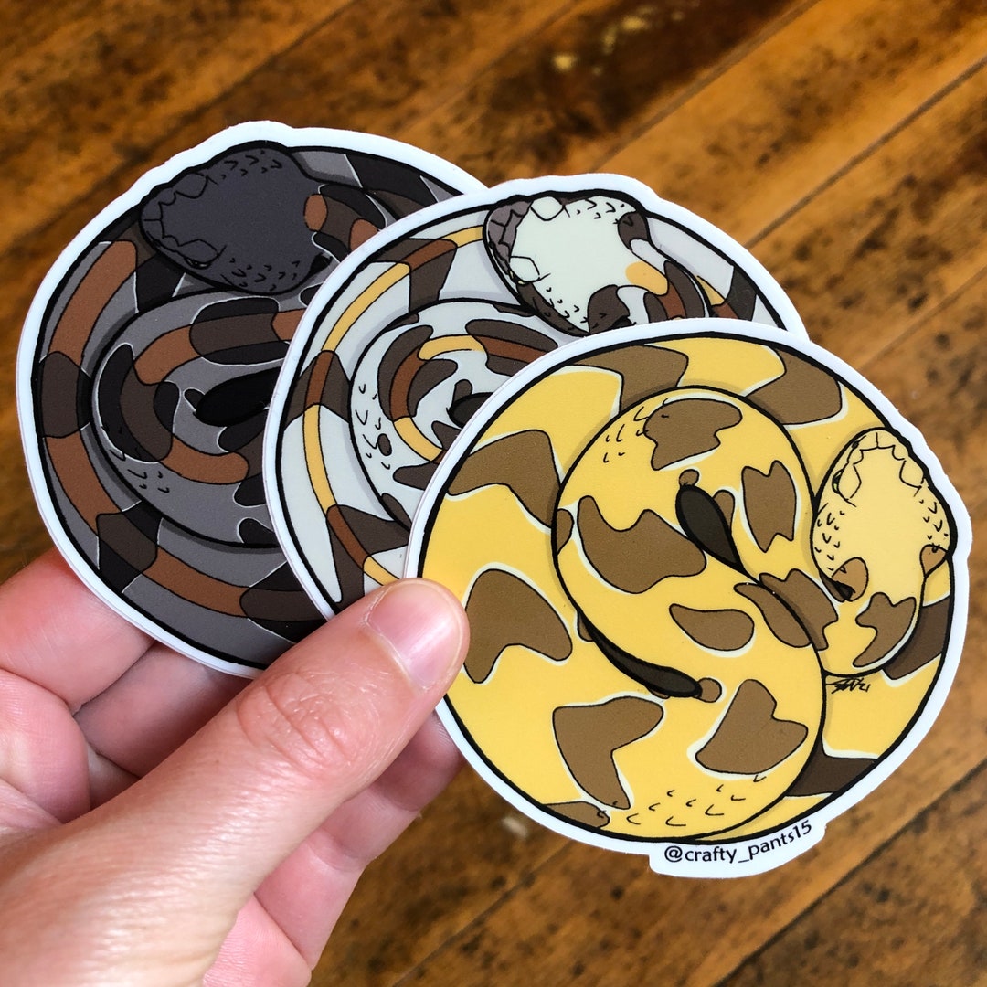 Timber Rattlesnake Sticker 3 Pack Etsy