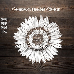 SVG/ pdf/ png/ JPG Stencil digitale girasole