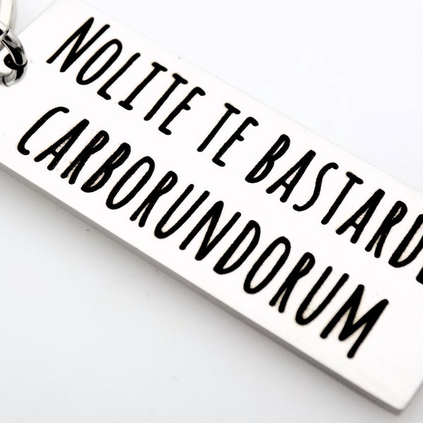 Latin Keychain translates to Don't let the bastards grind you down, feminist keychain keychain for her, gift for daughter wife sister mother