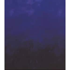 Sky Nuance - MIDNIGHT - Ombré Quilt Fabric - Jennifer Sampou Robert Kaufman rich ombre color modern quilt Earth art designs - per half metre