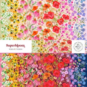 Robin Pickens Superbloom Rainbow gradient border quilt fabric for Moda Fabrics - ombré flower garden fabric in light and dark - beautiful