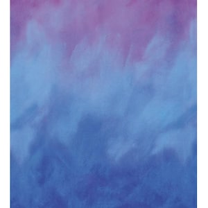 Sky Nuance - PANSY - Ombré Quilt Fabric - Jennifer Sampou Robert Kaufman rich ombre color modern quilt Earth art designs - per half metre