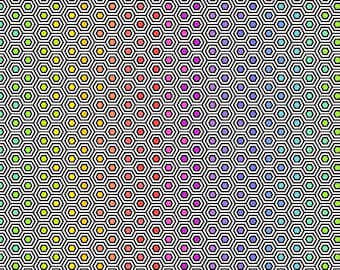Tula Pink - Linework - Hexy Rainbow - PWTP151.INK + free pattern