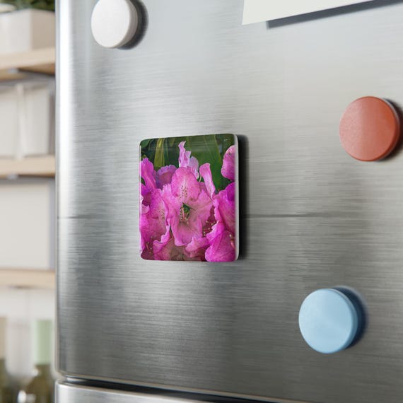 Bienen Butt Porzellan Magnet, rosa Rhododendron Blume, Khlschrank Dekor -  Etsy.de