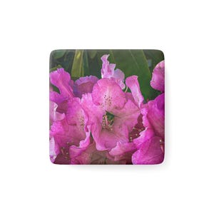 Può includere: Oggetto decorativo quadrato con un primo piano di vivaci fiori di rododendro rosa. I fiori hanno petali increspati e un motivo maculato, su uno sfondo di foglie verdi. L'immagine è ben illuminata, evidenziando le trame e i colori.