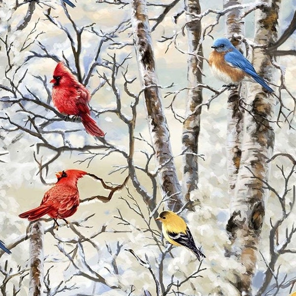 Winter Birds, Christmas, Bird Fabric, Animal fabric, Timeless Treasures, Quilting cotton