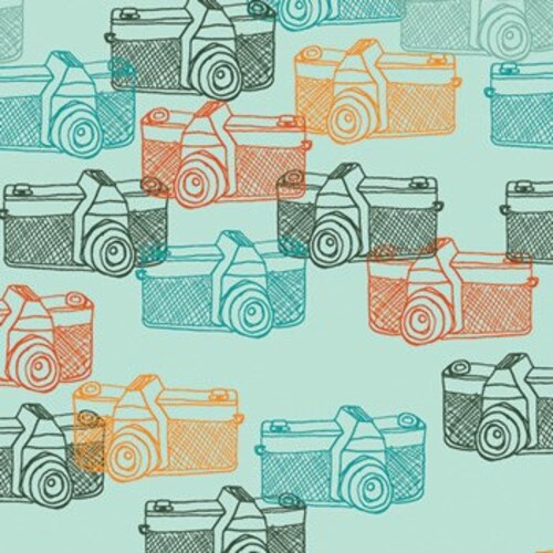 Camera Fabric Captured Memories Art Gallery Fabric Quilting Etsy