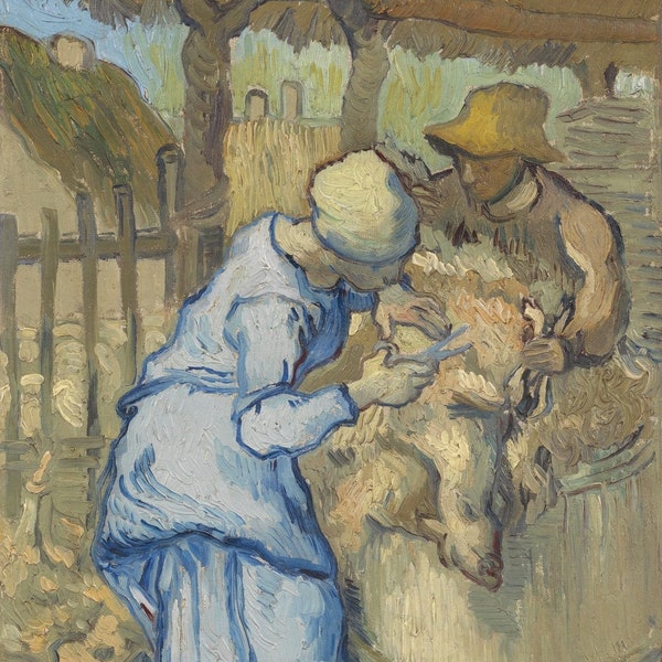 Sheep Shearing Etsy